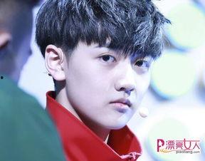 爆料娱乐圈焉栩嘉,揭秘明星背后的故事 第1张 爆料娱乐圈焉栩嘉,揭秘明星背后的故事 第1张